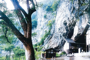Yangming Cave