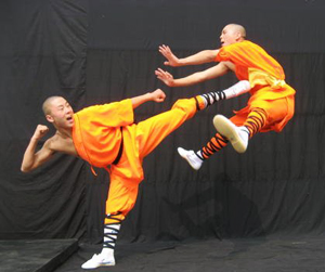 Chinese Kongfu Show, Beijing Guide, Beijing Travel