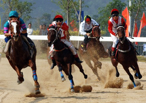 Horse Racing, Hong Kong Guide, Hong Kong Travel