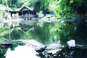 Du Fu’s Thatched Cottage