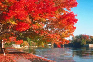 Hongfeng (Red Maple) Lake