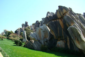 The Stone Forest