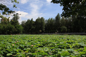 Green Lake Park