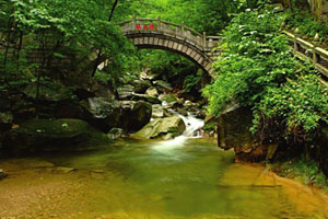 The Longyu Bay