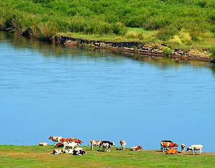 Guangming Oversea Chinese Livestock Farm