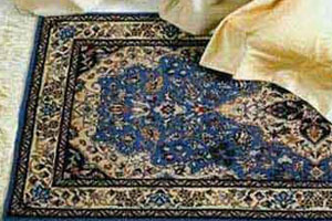 Sanlan Carpet