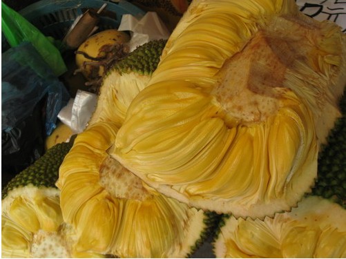 Durian, Sanya Guide，Sanya Travel
