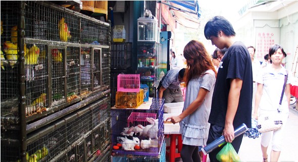 The First Market, Sanya Guide，Sanya Travel