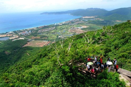 Ttropical Rainforest , Sanya Guide，Sanya Travel