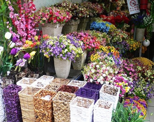 Nanning Bird and Flower Market, Nanning Guide，Nanning Travel