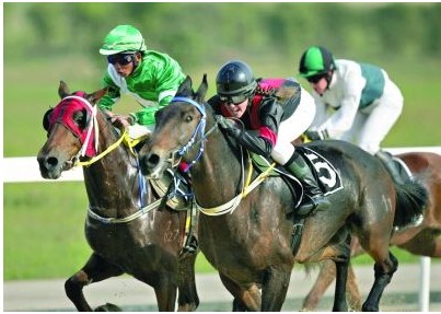 Horse Racing , Wuhan Travel， Wuhan Guide