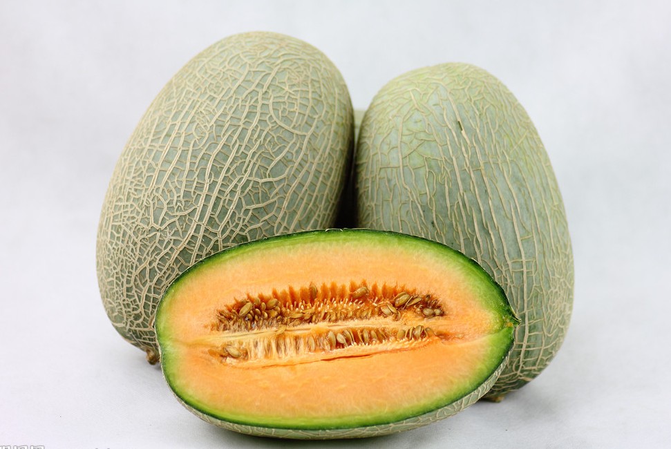 Hami Melon, Hotan Travel, Hotan Guide  