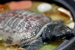 Turtle Soup with the Pickled Gammon, Huangshan Travel, Huangshan Guide