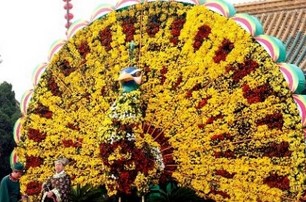 Chrysanthemum Festival, Kaifeng Travel, Kaifeng Guide