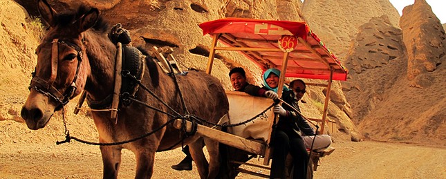 Donkey Cart, Kashgar Travel, Kashgar Guide